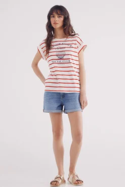 Springfield Camiseta 