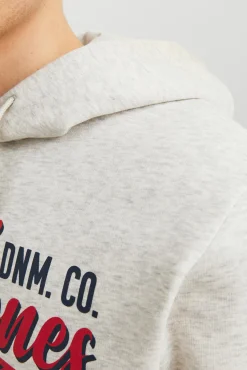 Sudadera capucha estándar