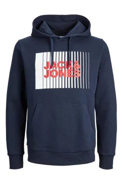 Sudadera estándar fit capucha
