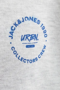 Jack & Jones Sudadera estándar fit capucha