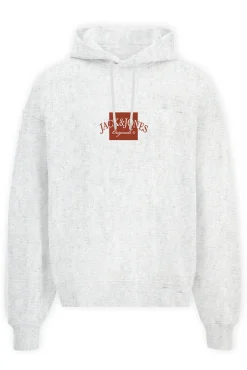 Jack & Jones Sudadera regular fit capucha
