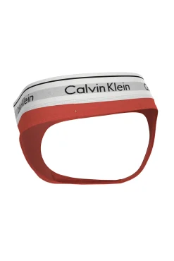Calvin Klein Tanga logo